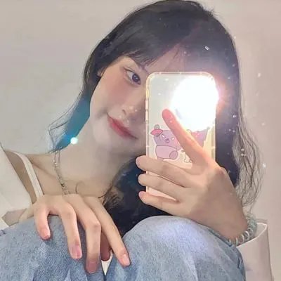 胭脂虎新传